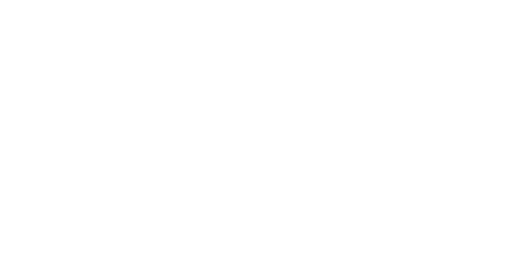 Loop Rent a Car